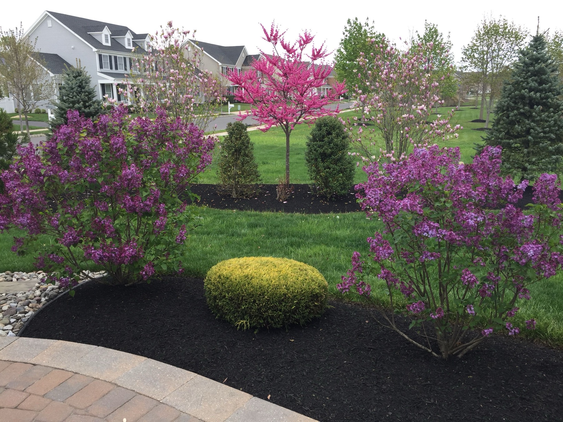 Lawn aeration and overseeding